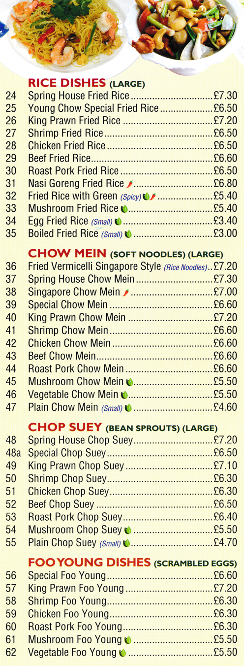 Menu for Spring - Beef Chop Suey, King Prawn Chow Mein, Nasi Goreng Fried Rice, Mushroom Foo Yung, Singapore Chow Mein..