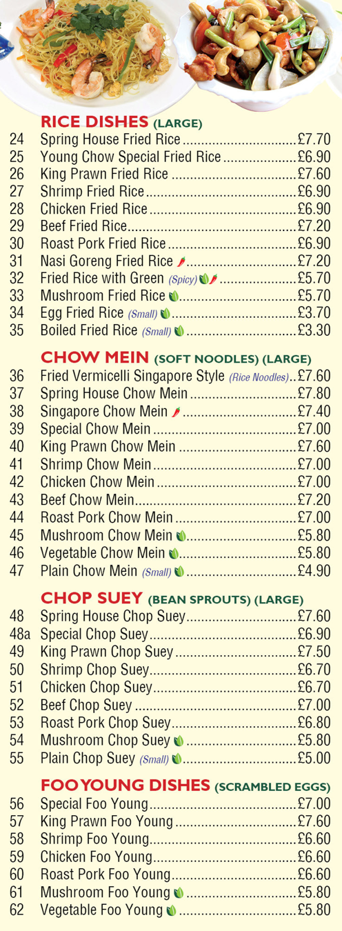 Menu for Spring - Beef Chop Suey, King Prawn Chow Mein, Nasi Goreng Fried Rice, Mushroom Foo Yung, Singapore Chow Mein..